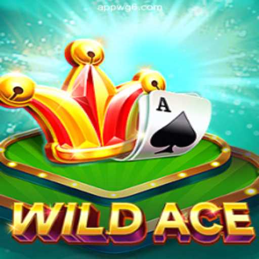 Exploring WildAce: The Elite Casino Experience at wg6.com Oficial
